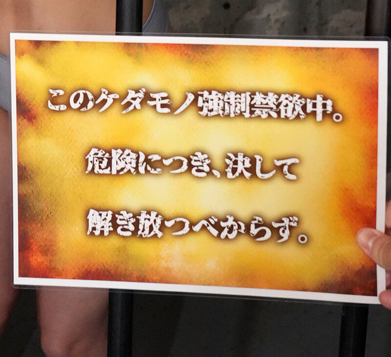 【VR】このケダモノ強●禁欲中。危険につき、決して解き放つべからず。 男の体液全てを貪る異常性犯罪者 Yさん サンプル画像18